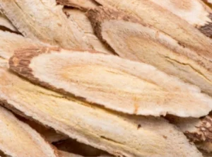 Astragalus