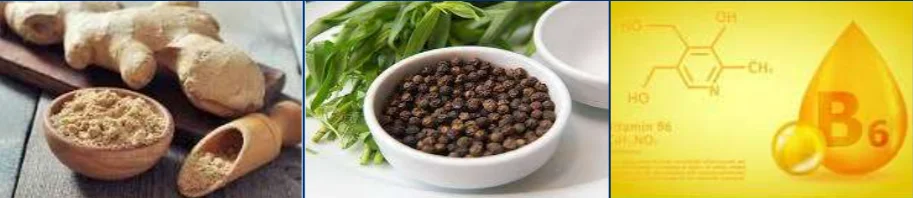 Bevital Slim PM Ingredients