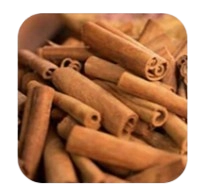 Cinnamomum cassia