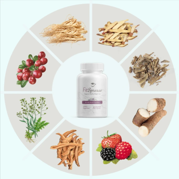 Fitspresso Ingredients
