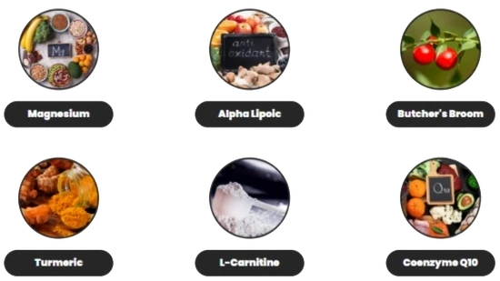 Free Pain Pro Ingredients