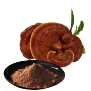 Ganoderma