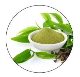 Gut Go Ingredient - Green Tea Extract