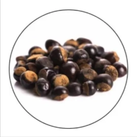Gut Go Ingredient - Guarana Seed Extract