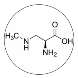 Gut Go Ingredient - L-Glutamine