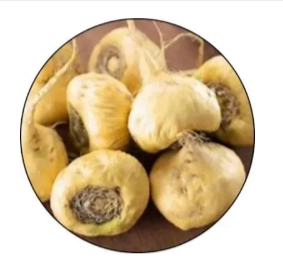 Gut Go Ingredient - Lepidium Meyenii
