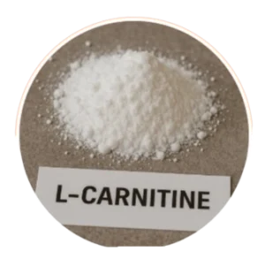 L-Carnitine 