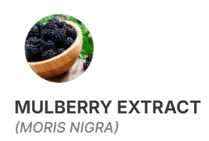 Mulberry Extract