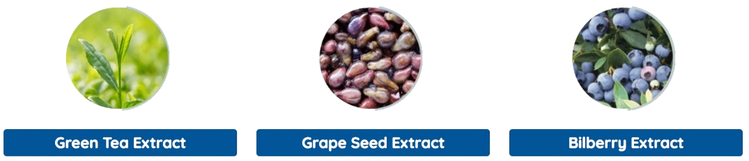 Neuro Surge Ingredients - Green Tea Extract, Grape Seed Extract, Bilberry Extract