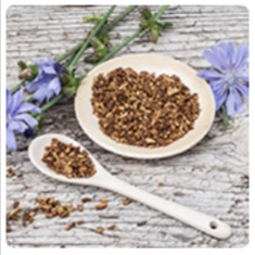 Peak BioBoost Ingredient - Inulin