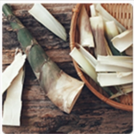 Peak BioBoost Ingredient - Xylooligosaccharides (XOS)