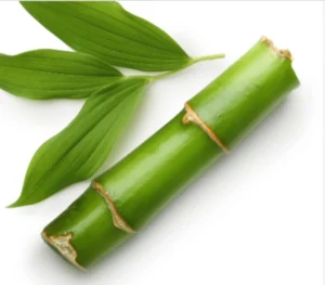 ProstaLite Phyllostachys Edulis Extract