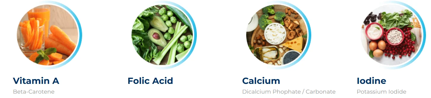 Renew Dental Support Ingredients