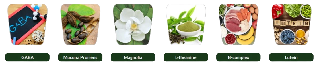 VidaCalm Ingredients